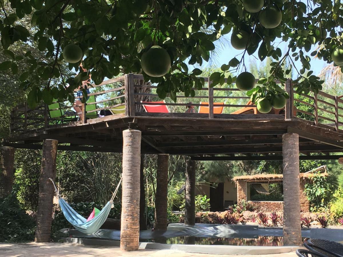 Footsteps Eco-Lodge Gunjur المظهر الخارجي الصورة